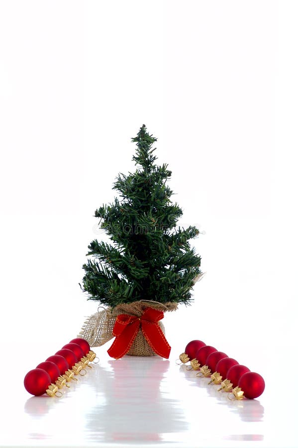 New-year fir tree