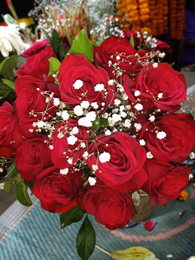 New Year Red Rose Flowers so Beautiful Stock Image Image of flowers