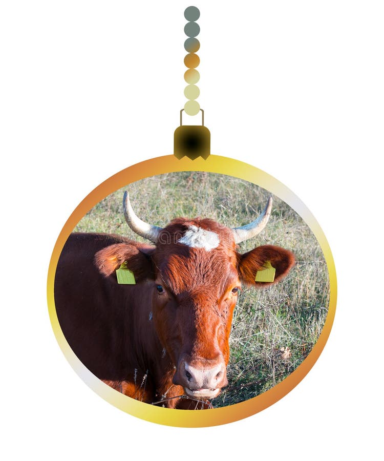 New Year`s ball with the image of the symbol of the year - a bull. Christmas content