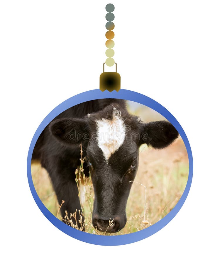 New Year`s ball with the image of the symbol of the year - a bull. Christmas content