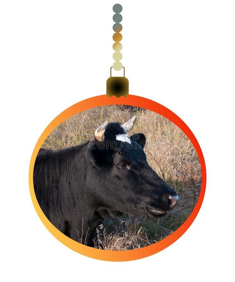 New Year`s ball with the image of the symbol of the year - a bull. Christmas content