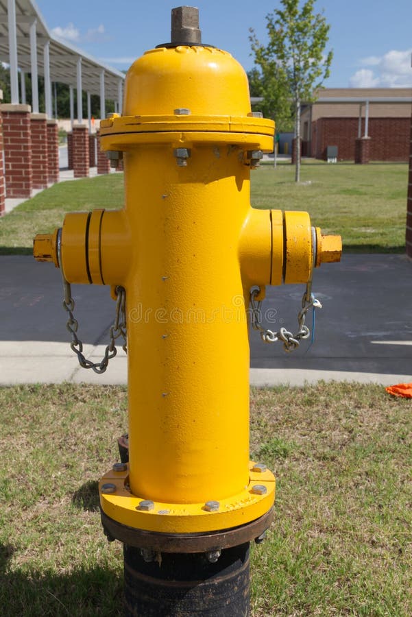A new yellow fire hydrant and buildings