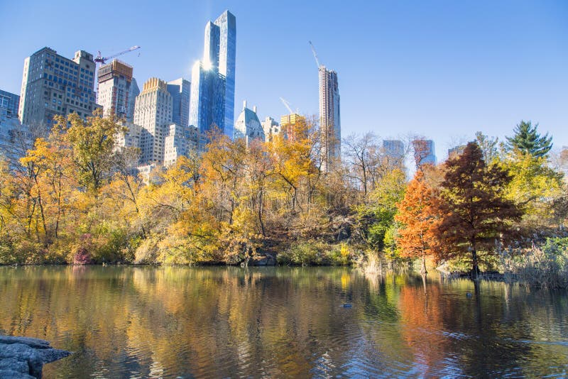 New York, Central Park stock photo. Image of imagine 116615386