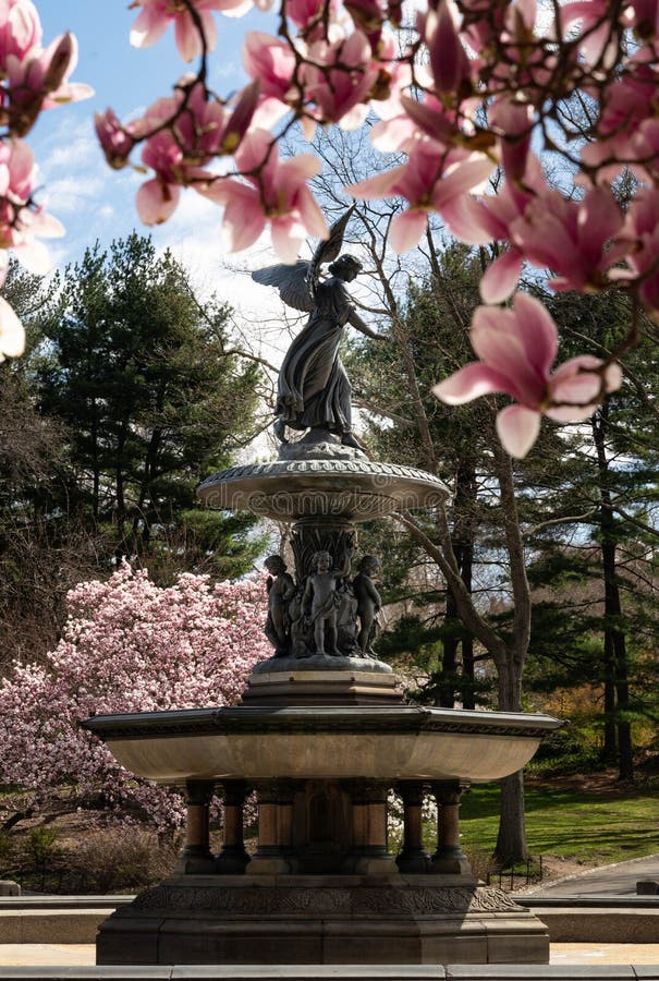 New York City spring time, blossom pink magnolia, white sakura cherry blossom.