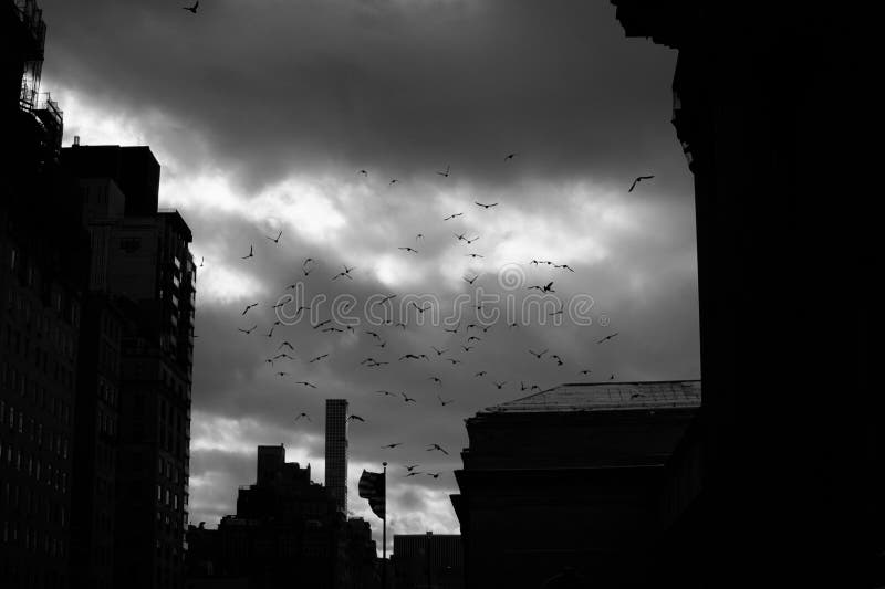 New York City image stock New York City image stock