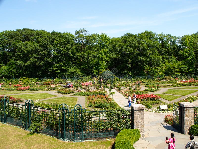 New York - Förenta staterna, Peggy Rockefeller Rose Garden på den New York botaniska trädgården i Bronx i New York City arkivfoto New York - Förenta staterna, Peggy Rockefeller Rose Garden på den New York botaniska trädgården i Bronx i New York City arkivfoto