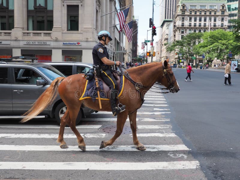 New York NY, USA New York poliser på hästrygg på Manhattan royaltyfri bild New York NY, USA New York poliser på hästrygg på Manhattan royaltyfri bild