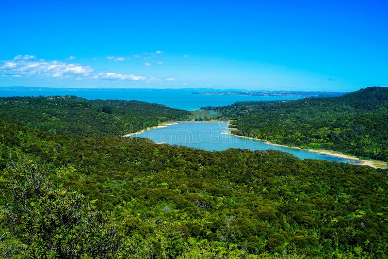 Waitakere Ranges Auckland New Zealand Stock Photo Image of forest