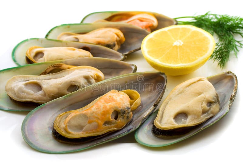 New Zealand green mussels royalty free stock photo