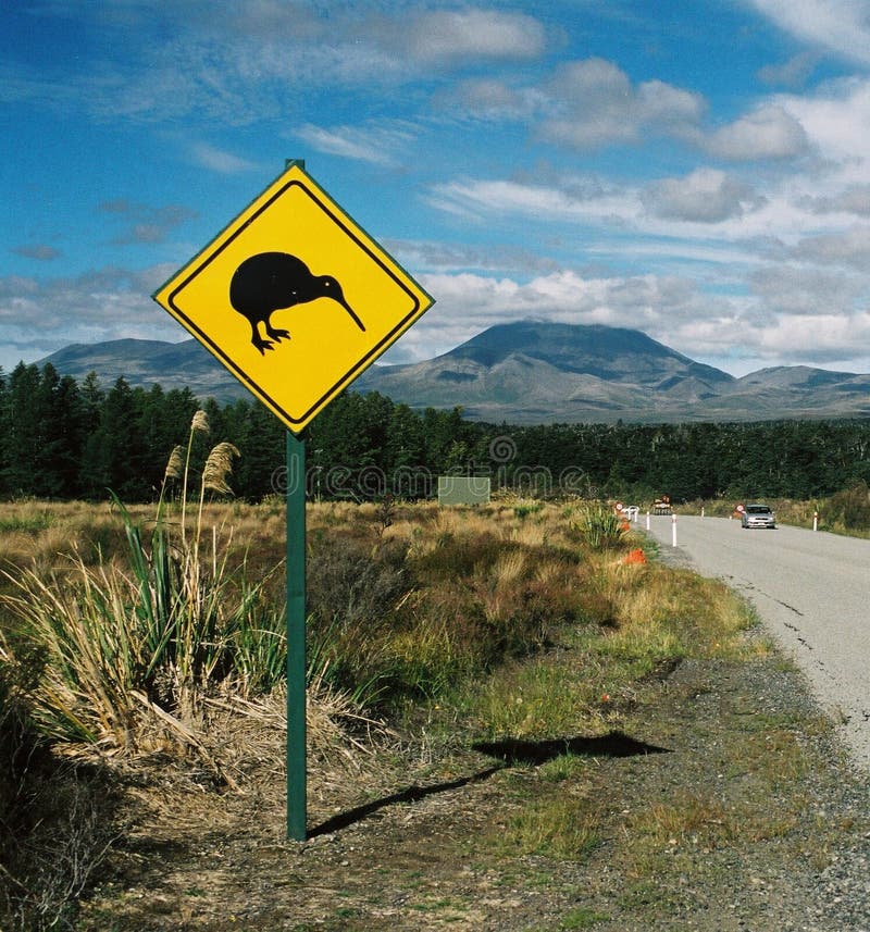 Carreteras en nuevo insistencia sobre el conducir con cuidado en sobre el preservar pájaro.