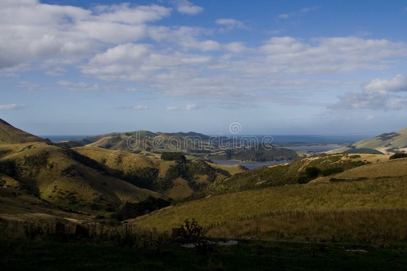 New Zealand Landscape