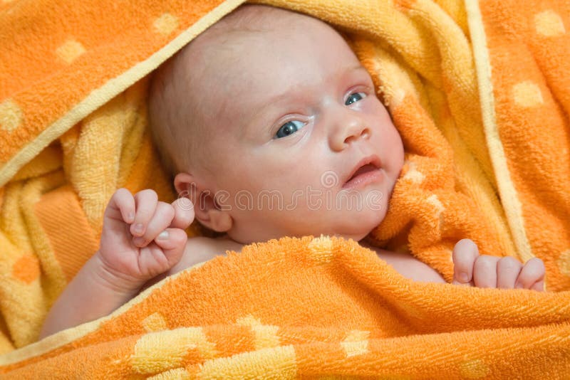 Newborn after bath stock photo. Image of nose, happiness 3023936