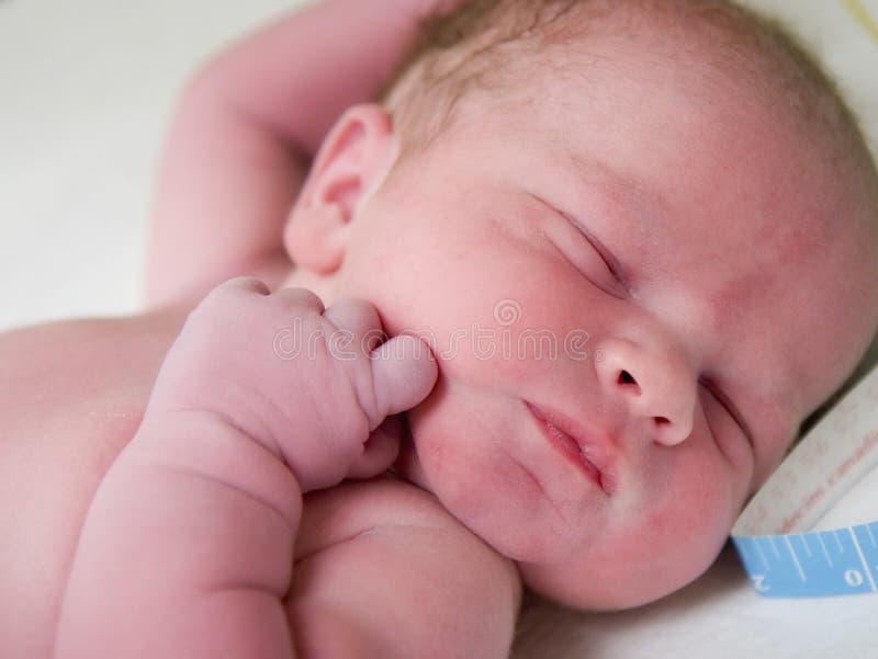 Newborn Baby royalty free stock photo