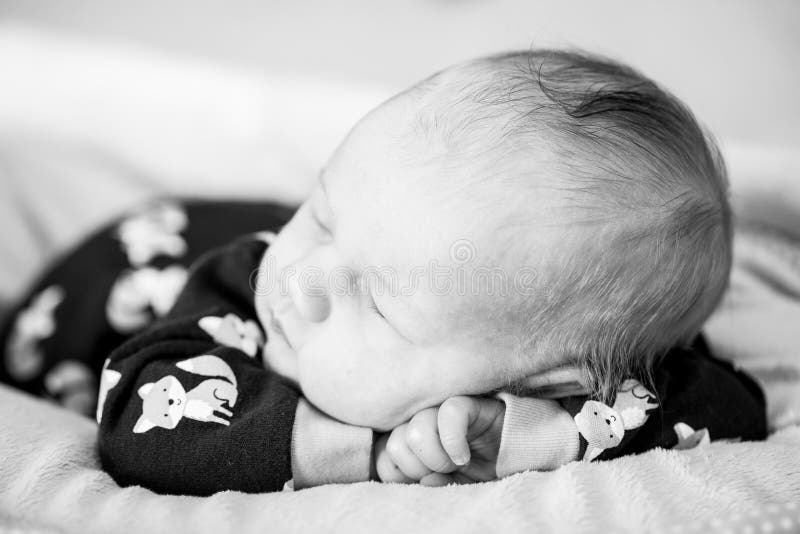 Newborn Baby Boy Stock Photo Image Of Pose Shoot Lighting 83903286