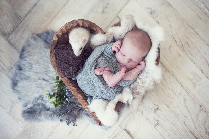 Prop Download Digital Newborn Photography studio Wooden barrels with fabric and wool