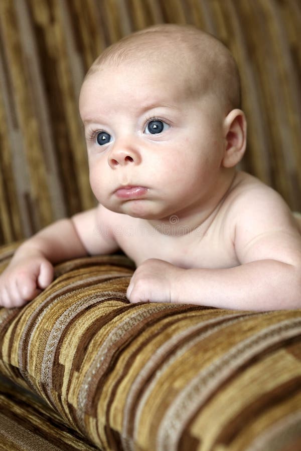 Newborn Baby Boy on the Sofa Stock Image Image of love, lifestyle