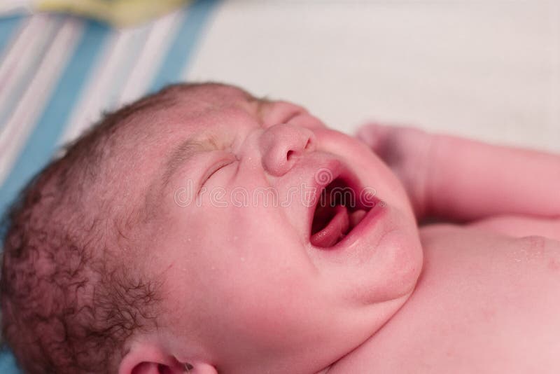 Newborn baby crying royalty free stock photos Newborn baby crying royalty free stock photos