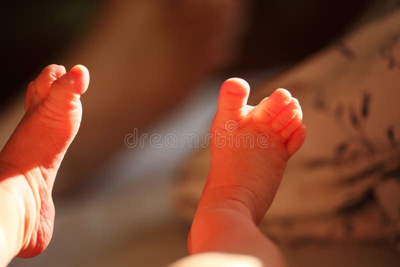 Newborn baby feet