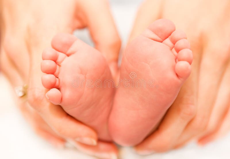 Newborn Baby Feet on Female Hands Stock Image Image of humanthumb