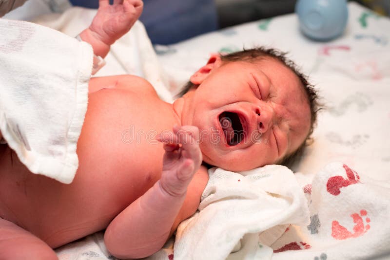 Newborn baby girl moments after being born stock images Newborn baby girl moments after being born stock images