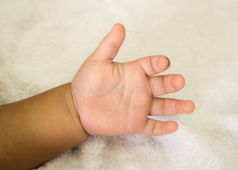 Newborn baby hand stock photo. Image of affectionate 26034000