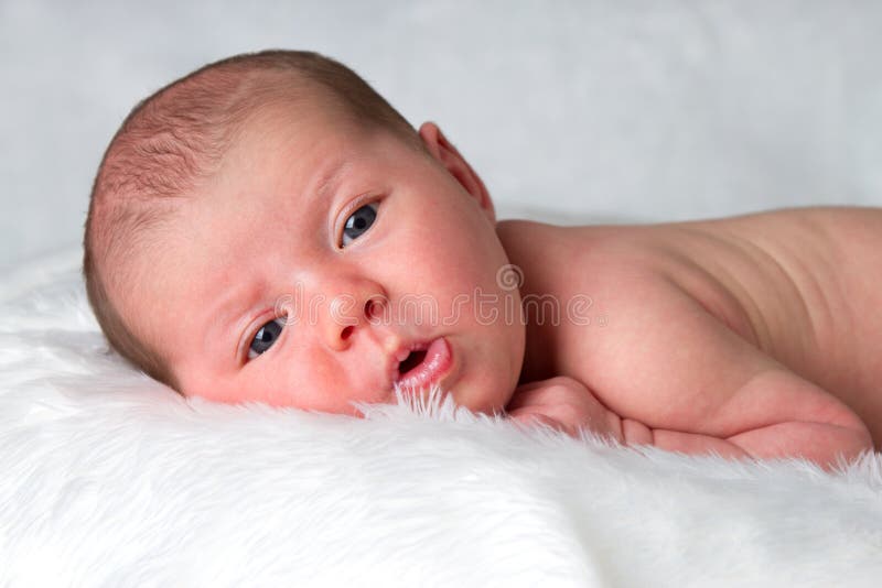 Newborn Baby Laying on Belly Stock Image Image of offspring, newborn 26787515