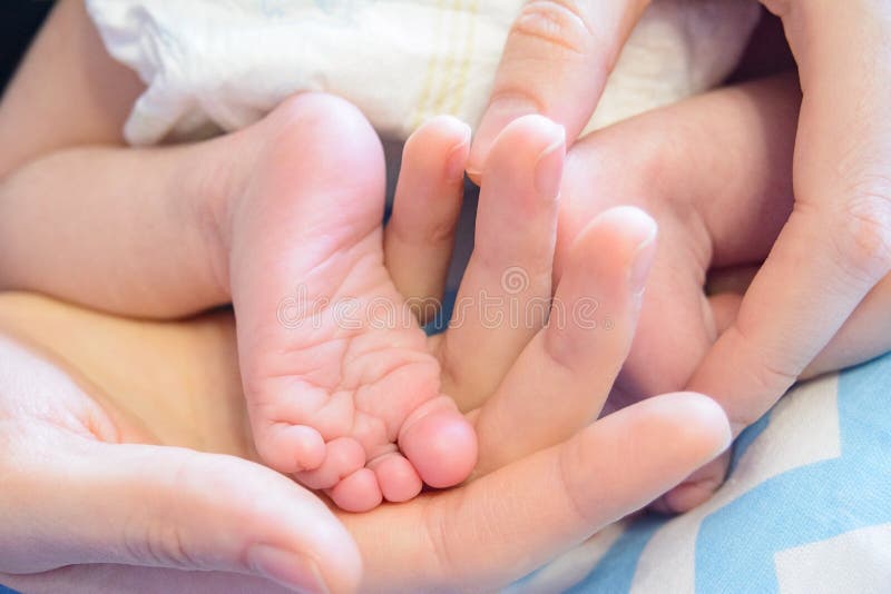 newborn baby legs in parentâ€™s hands folded by heart, the concept of motherhood, fatherhood