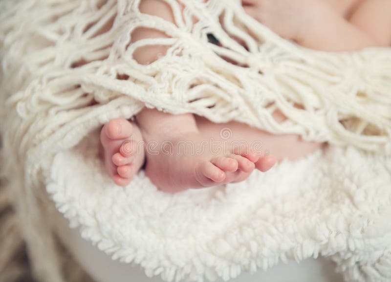 Newborn baby legs stock photo. Image of tiny, person 63351672