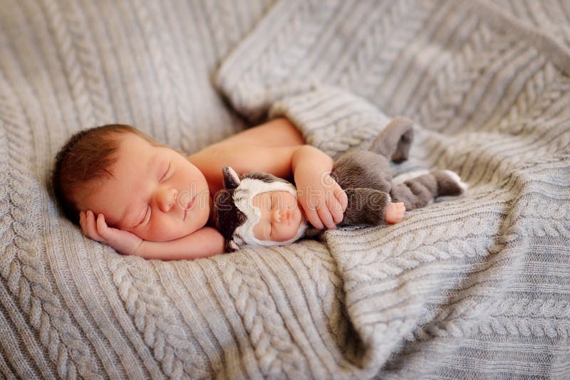 Newborn Baby Sleeping on Fur Bed Stock Photo Image of cozy, eyes 51625340