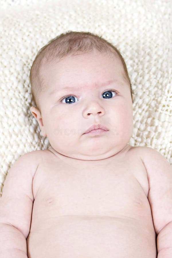 Newborn Baby Wrapped in Blanket Stock Image Image of pose, portrait