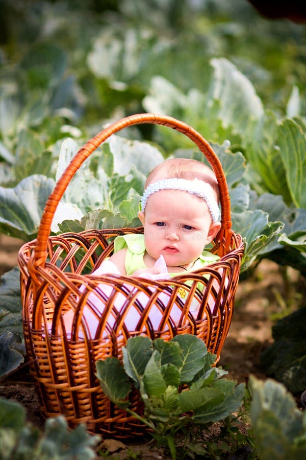 Newborn in the basket stock photo. Image of fingers, dreaming 26866672