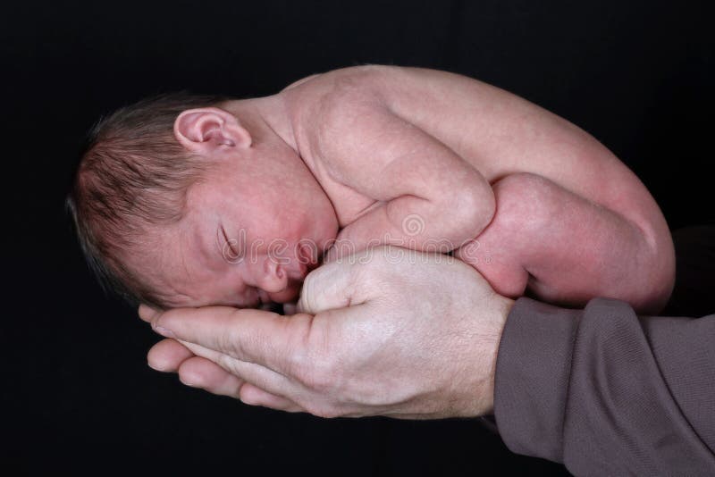 305 Cradled Photos Free Royalty Free Stock Photos From Dreamstime 305 Cradled Photos Free Royalty Free Stock Photos From Dreamstime