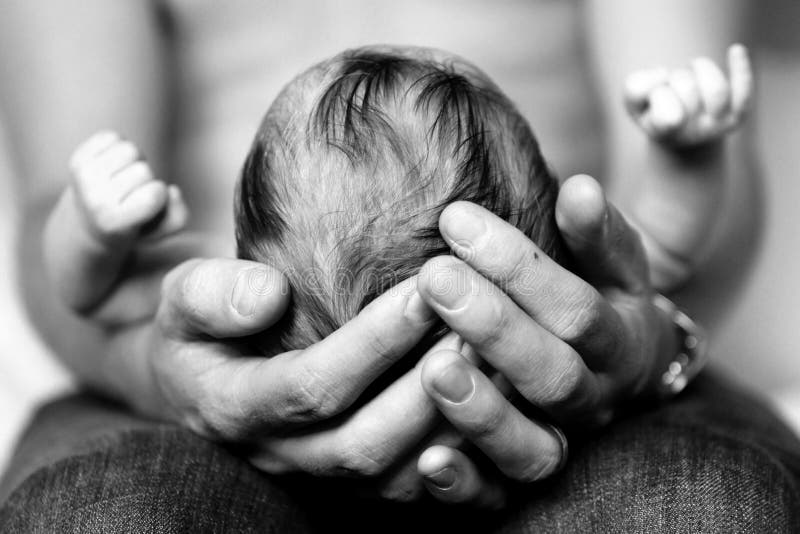 Head Cradled Photos Free Royalty Free Stock Photos From Dreamstime Head Cradled Photos Free Royalty Free Stock Photos From Dreamstime