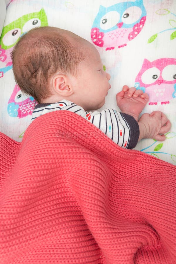 Newborn 8 Days Old Baby Sleeping Crib Stock Photos Free & Royalty