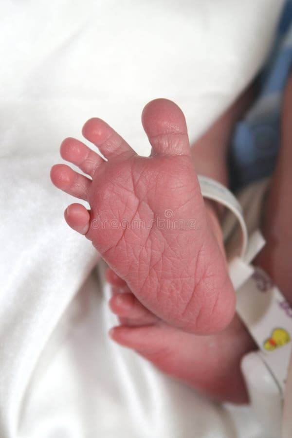 Newborn Feet