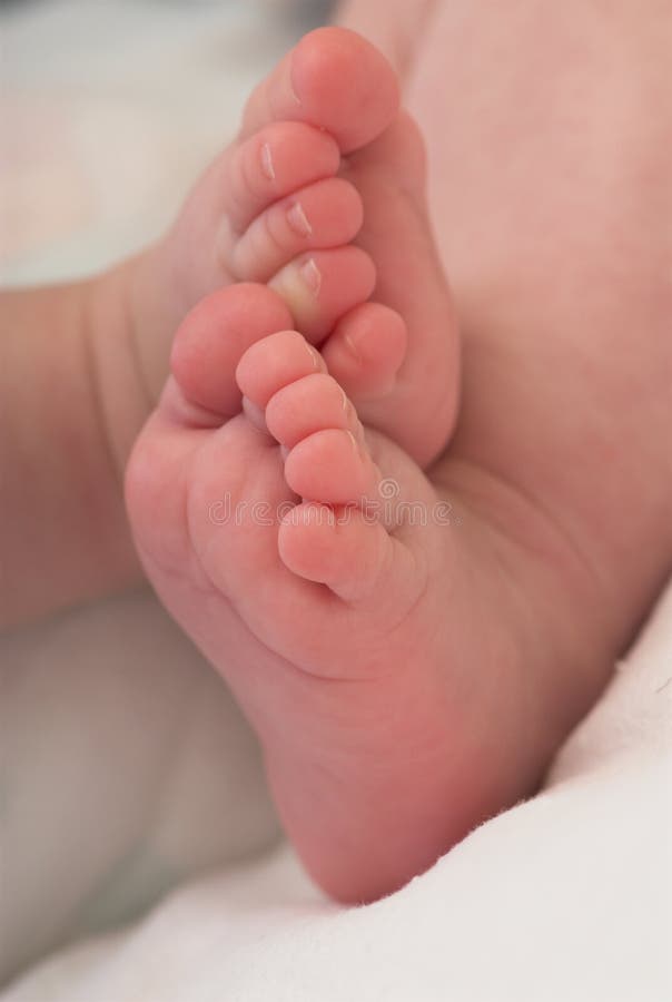 Newborn feet stock image. Image of macro, offspring, nails 7243983