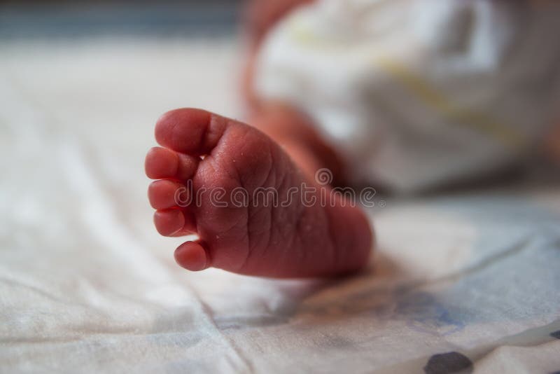 Newborn feet close up stock photo. Image of babies, body 103317794