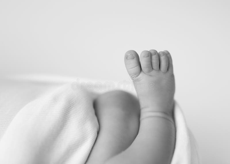 Newborn foot stock photo. Image of petite, foot, little 52656360