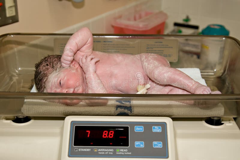 Newborn Hospital Weigh Scale Stock Photo Image of eight, hospital 9882300