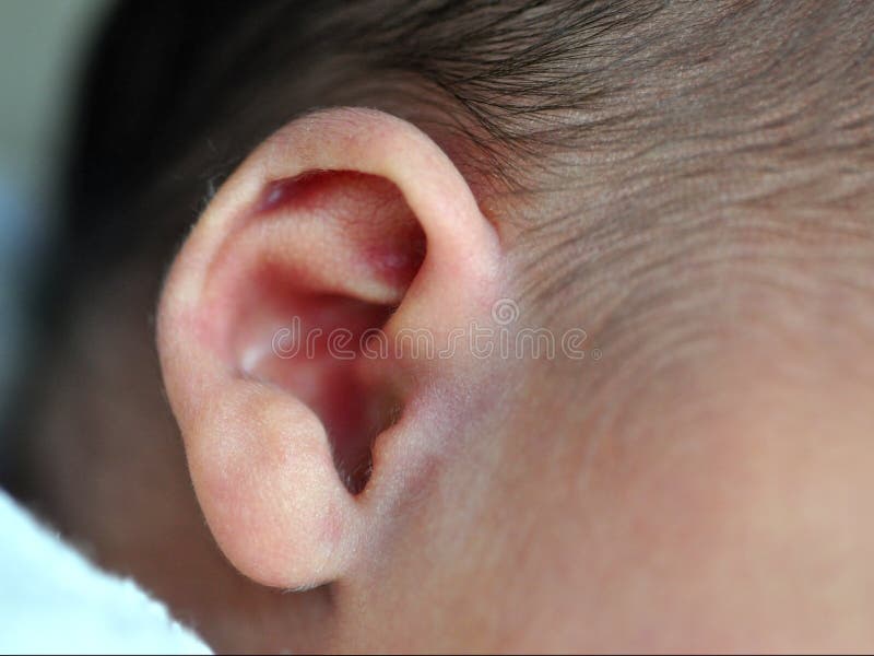 Baby s Ear stock image. Image of close, infant, hair, closeup 2698909