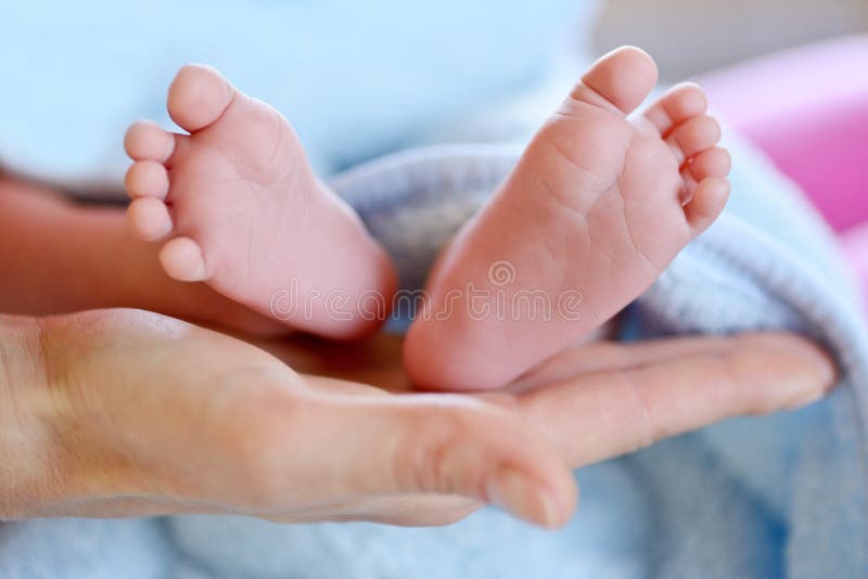 Newborns foot stock image. Image of legs, foot, thumb 16798487
