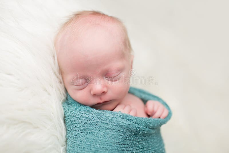 Newborn Swaddled stock photo. Image of naptime, cozy 49514808