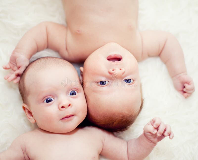 2,742 Newborn Twins Stock Photos - Free & Royalty-Free Stock Photos from Dreamstime 2,742 Newborn Twins Stock Photos - Free & Royalty-Free Stock Photos from Dreamstime