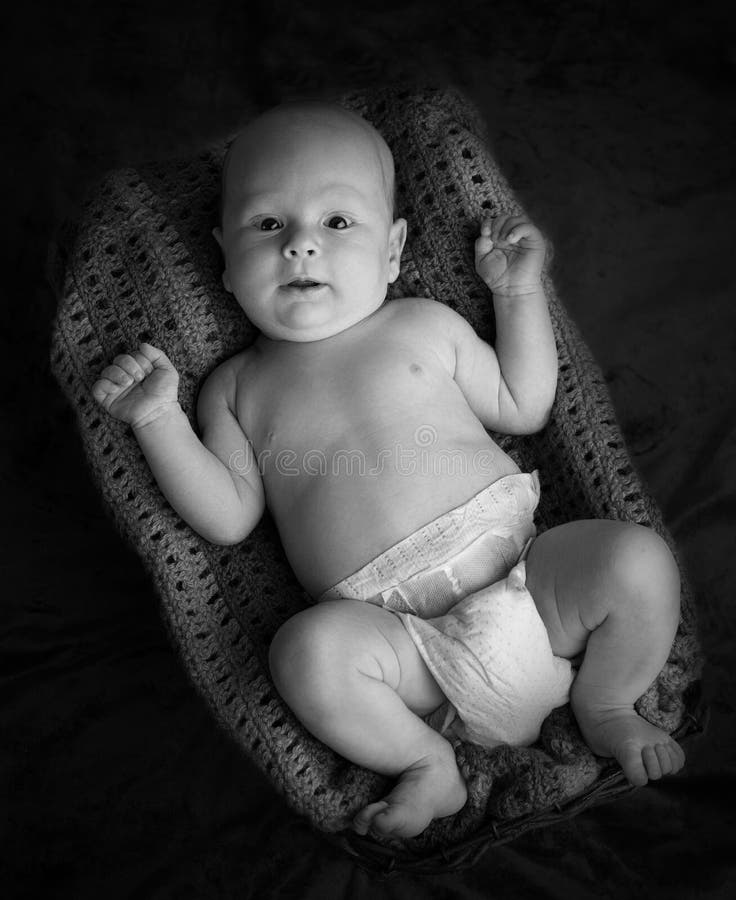 Newborn младенец лежа в корзине в monochrome стоковая фотография
