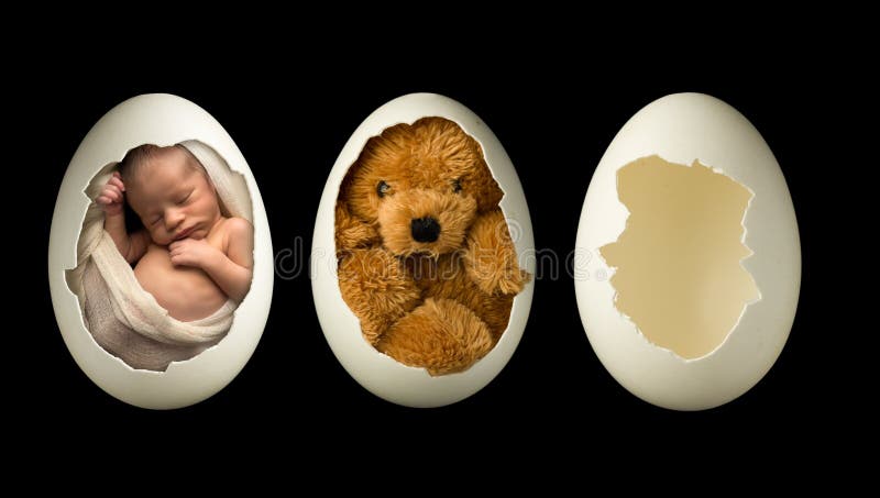 Newborn младенец в яичке стоковое изображение Newborn младенец в яичке стоковое изображение
