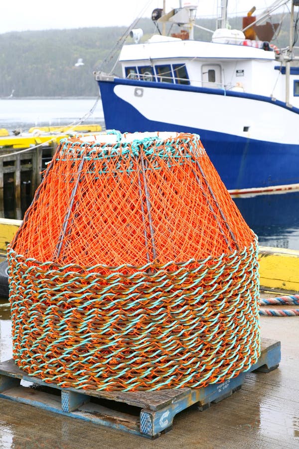 Newfoundland Crab Stock Photos - Free & Royalty-Free Stock Photos