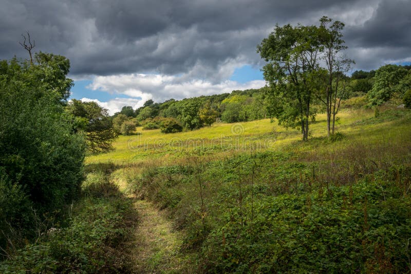Newlands Corner Path 2 Stock Photos Free & RoyaltyFree Stock Photos