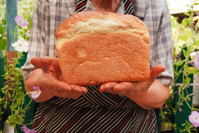 Newlybaked bread stock image. Image of eating, meal 11121475