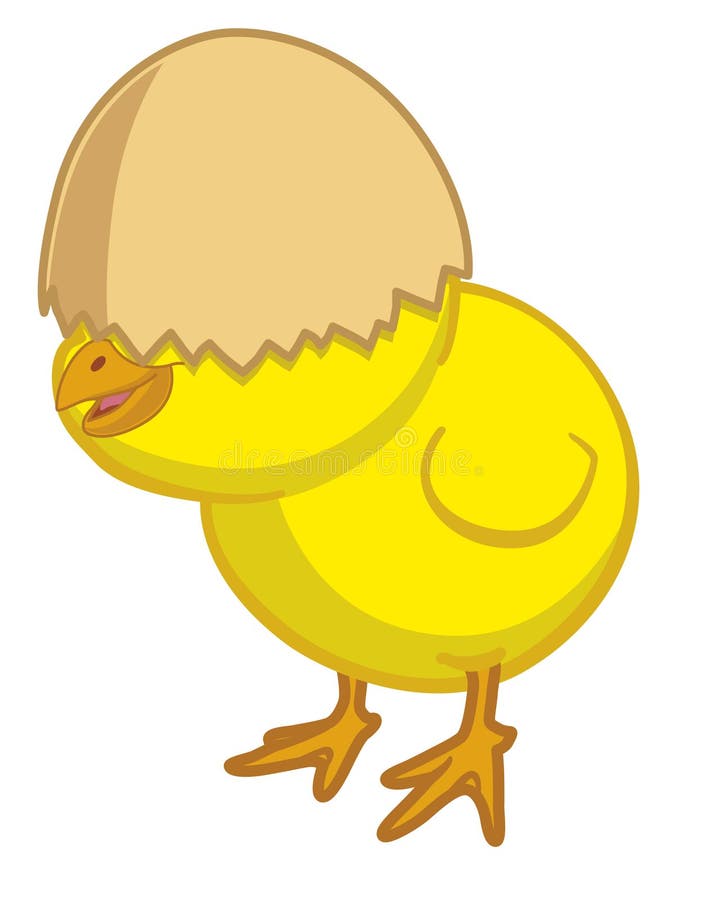 Цыплята в скорлупе рисунок