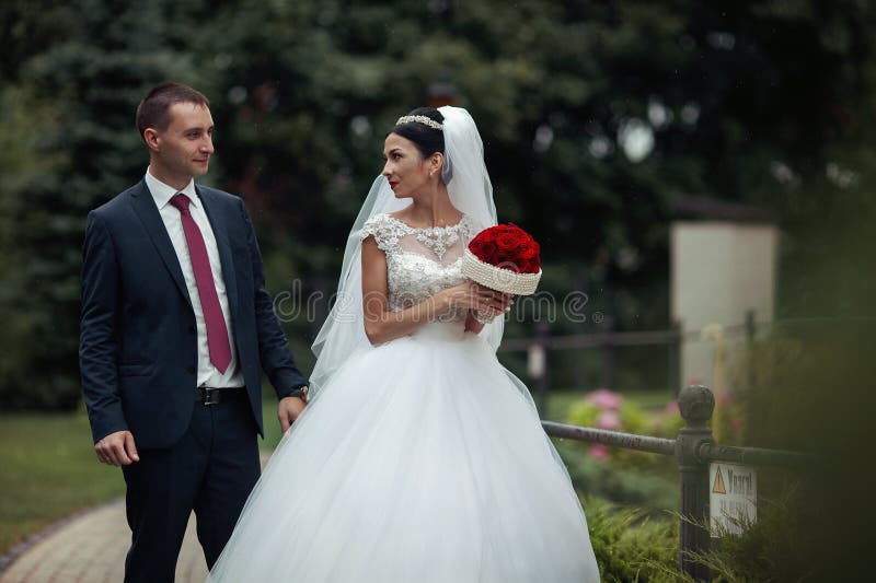 Newlywed valentynes posing in a romantic european park with rose stock photography Newlywed valentynes posing in a romantic european park with rose stock photography